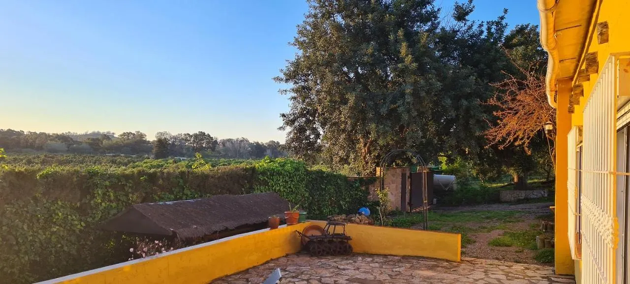 Villa La Alqueria San Martín Casa vacanze